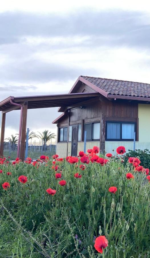 מרגריטה די סבויה Spiaggia Le Dune Residence מראה חיצוני תמונה